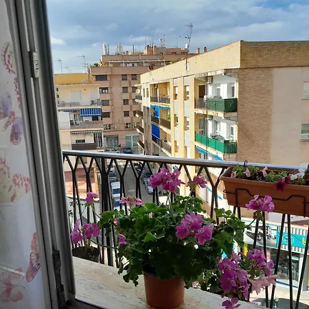 Cozy دينايا