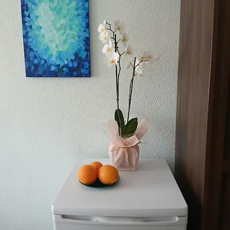 Cozy Privatunterkunft